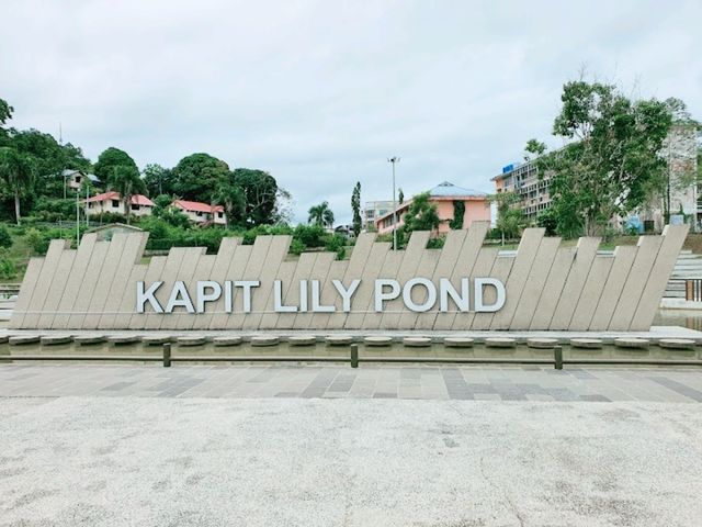 Kapit Lily Pond Kapit Lily Pond