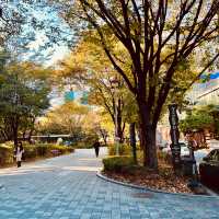 Top 5 Photo Spots in Seongsu