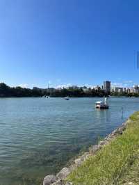 【福岡】福岡市の真ん中にある大型公園⛲️