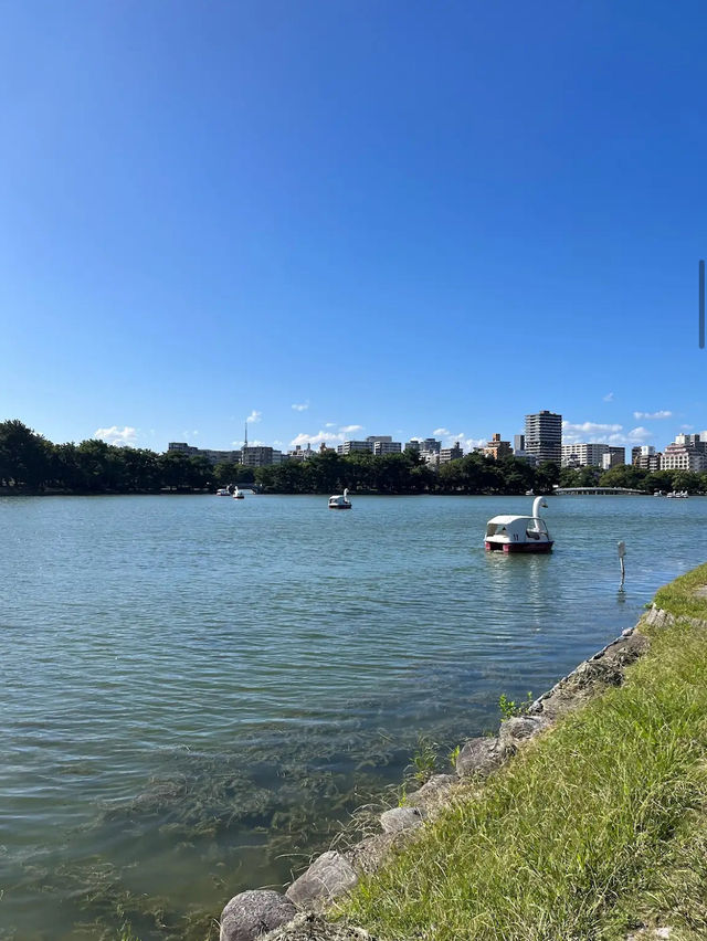 【福岡】福岡市の真ん中にある大型公園⛲️