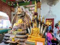 พามาขอพร ทำบุญ วัดนาคปรก