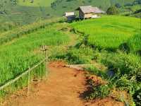 บ้านพักแฮเก นาขั้นบันไดป่าบงเปียง