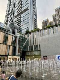 Exploring Shenzhen: A Cityscape Adventure with Night Lights and Unique Experiences