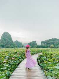 The most beautiful province of Vietnam ⛰️🇻🇳