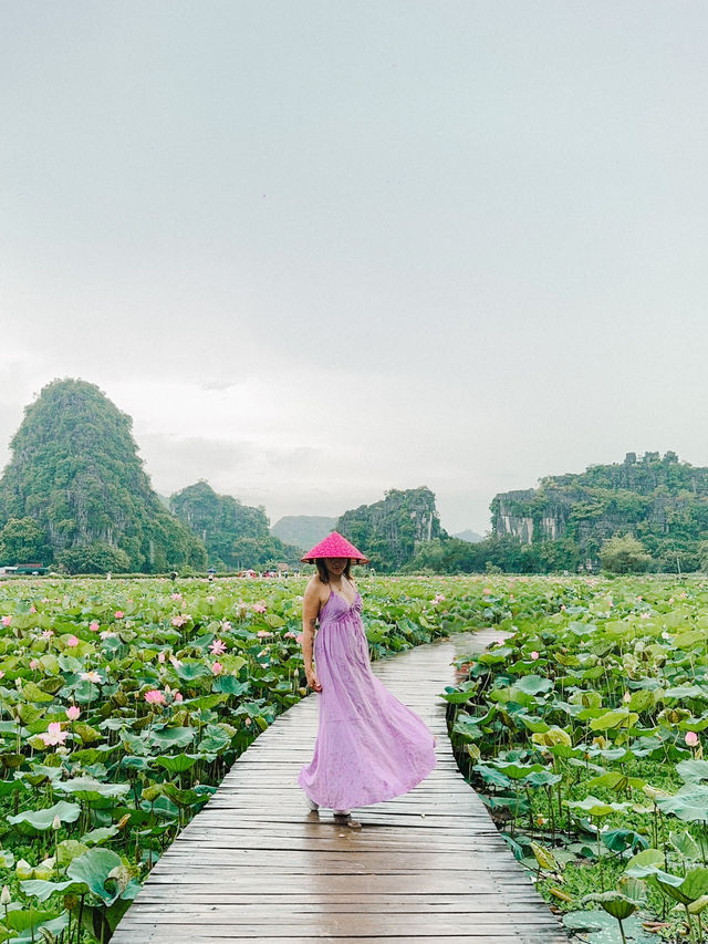 The most beautiful province of Vietnam ⛰️🇻🇳