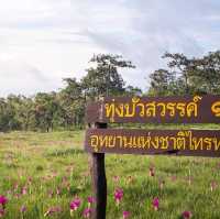 อุทยานแห่งชาติไทรทอง