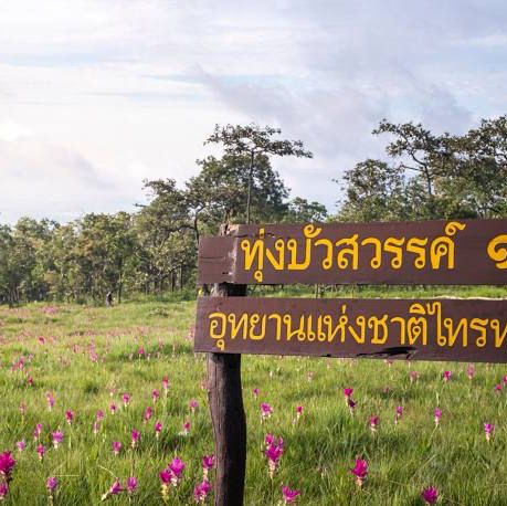 อุทยานแห่งชาติไทรทอง