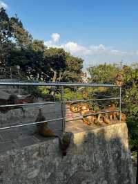 【カトマンズ🇳🇵】世界遺産に登録されている丘の上の仏教寺院🛕