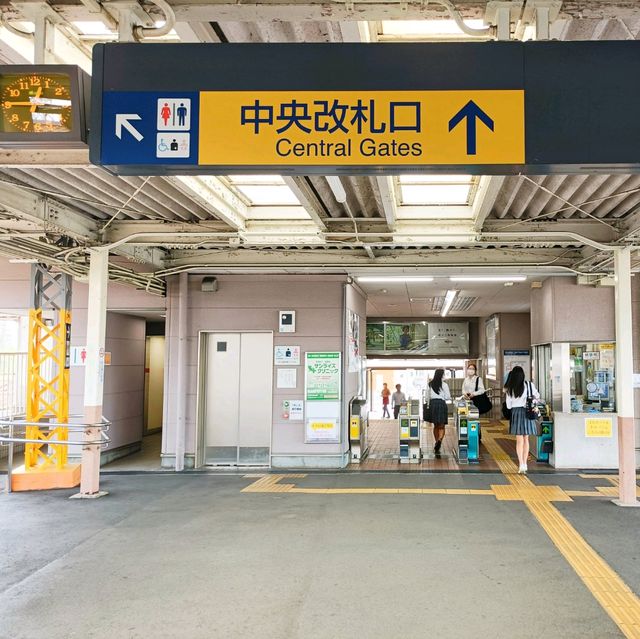 秋の岐阜旅🍁ノスタルジーな電車に乗ります