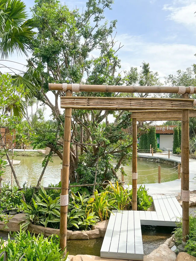 🌳🪵📍 ปักหมุดจุดแลนมาร์คแห่งใหม่  