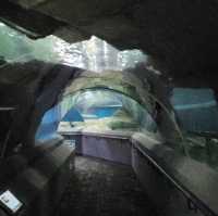 Underwater World Pattaya 