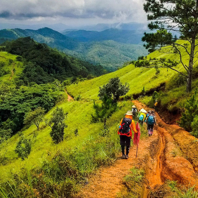 Ta Nang - Phan Dung hiking trail is very beautiful