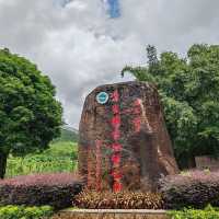 青嵐國家地質公園