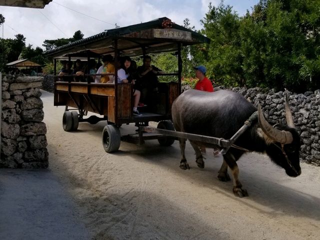 【沖縄】石垣島から10分で行ける1番近い離島とは？？