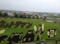 【青森/田舎館】必見‼︎田んぼアート