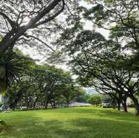 เที่ยวสิงค์โปร์ Fort Canning Tunnel 