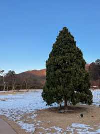 눈밭에서 노을 사냥 가능한 카페🌅 ⛄️