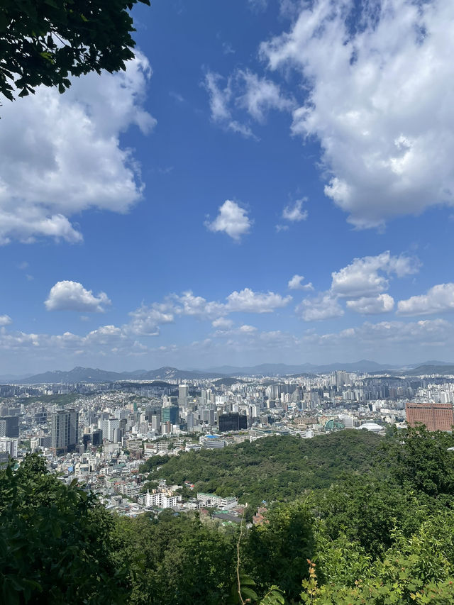 ソウル 서울 カフェ