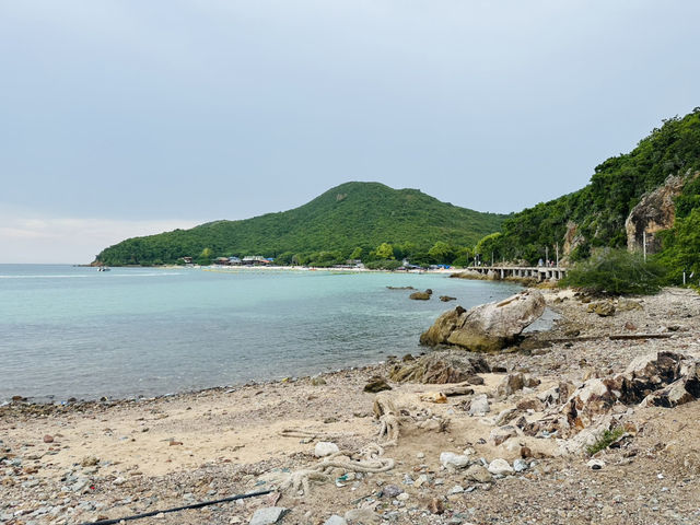 ชวนไปถ่ายรูปกับฝูงน้องห่านที่หาดเทียน