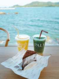 PALYN