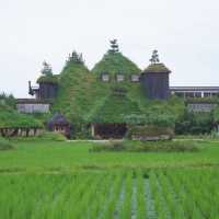 擁抱田園鄉間風景！關西旅行別忘了小眾景點「近江八幡」