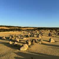  Pinnacles Desert：西澳大利亞的自然奇觀 🌵✨ 
