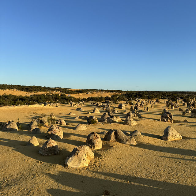  Pinnacles Desert：西澳大利亞的自然奇觀 🌵✨ 