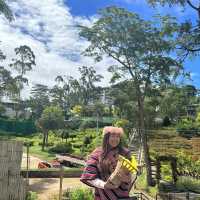 Baguio Botanical Garden: 