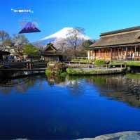 東京旅遊之～忍野八海