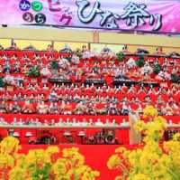 【千葉】毎年開催されるビッグ雛祭り！