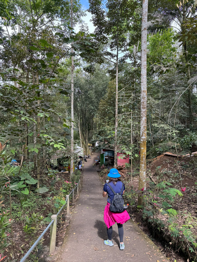 Tumpak Sewu, Asian Niagara Falls