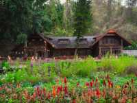 สวนดอกไม้ Flora Creek - Krisada Doi