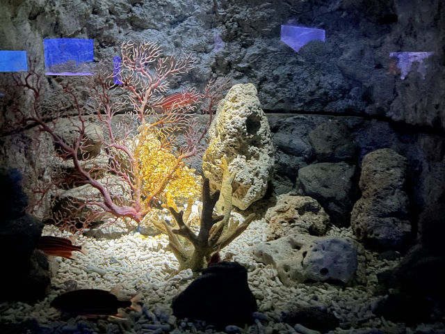 Manila Ocean Park