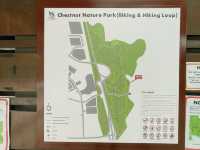 Tranquil Escape at Chestnut Nature Park