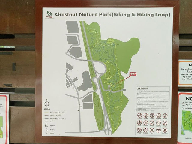 Tranquil Escape at Chestnut Nature Park