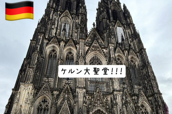 【ケルン大聖堂 超大型コイン】376g スワロフスキー 装飾付 ドイツ 2016 614LCIxKCkL._UF894,1000_QL80_.jpg