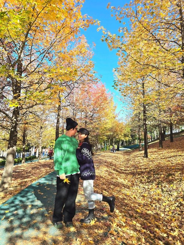 알록달록 단풍이 예쁜 거창 도시숲공원🍁