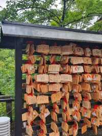 Kiyomizu Dera⛩️🗾