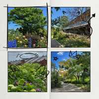靭公園：城市氧吧 🌼🐦