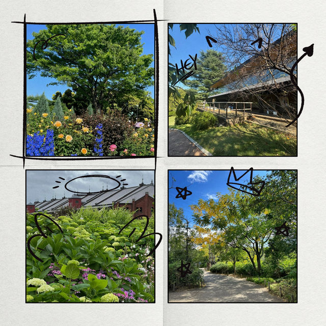 靭公園：城市氧吧 🌼🐦