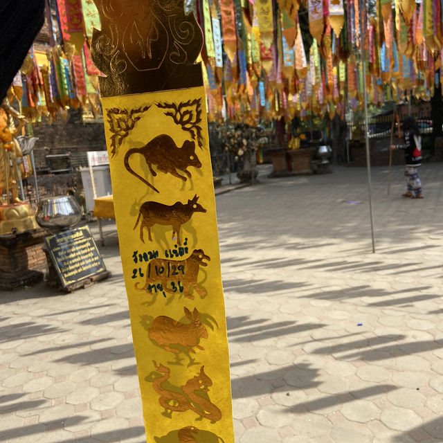 ขอพรที่ วัดโลกโมฬี วัดดังเชียงใหม่