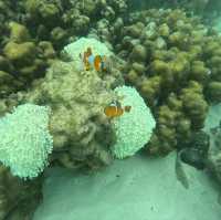 Koh Lipe Thailand amazing island ever