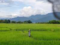 Viewna Little Home ที่พักน่าน