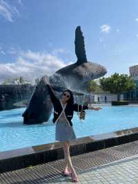 全台最大規模海生館🐬超親人小白鯨萌翻全場💕