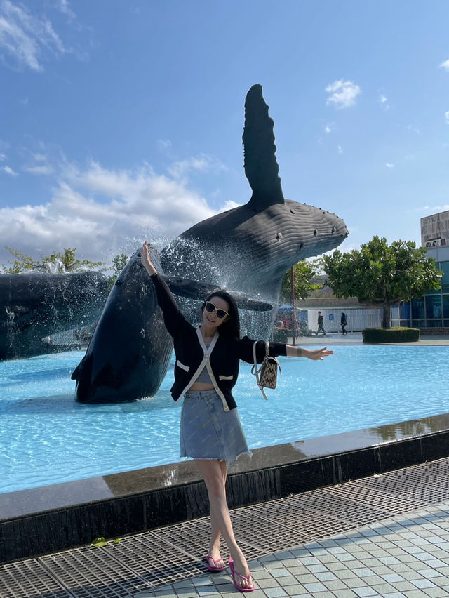 全台最大規模海生館🐬超親人小白鯨萌翻全場💕