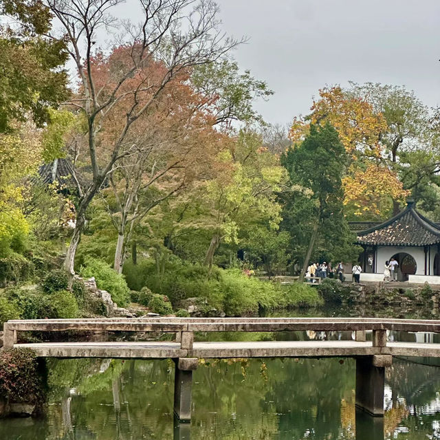 中山仙踪龍園🐉秋色的夢境！🍂🏞️