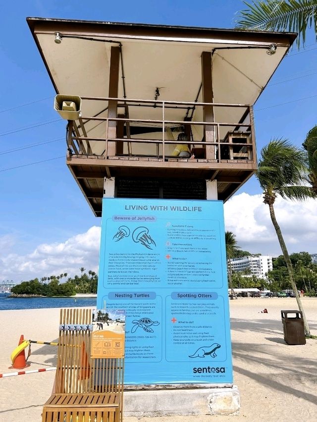 A Fun-filled Day at Sentosa's Siloso Beach