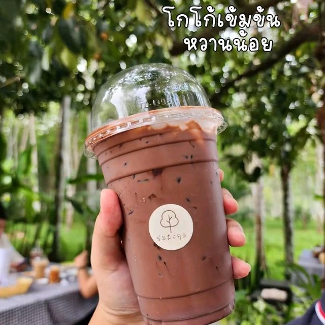 ร่มมังคุด  ตรัง