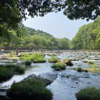🇯🇵宮崎/関之尾滝
