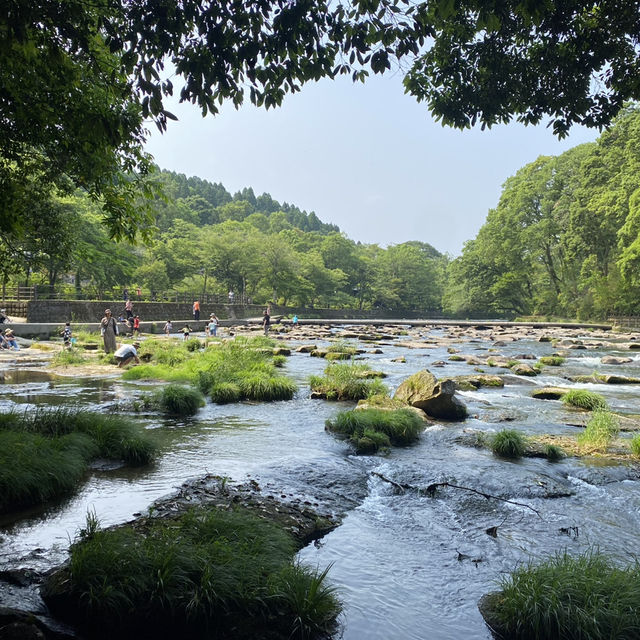 🇯🇵宮崎/関之尾滝